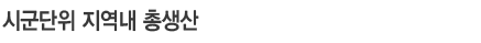 시군단위 지역내 총생산