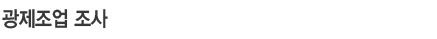 광제조업조사