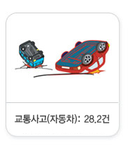 교통사고(자동차):29건